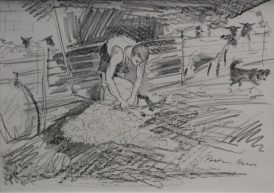 The Shearing