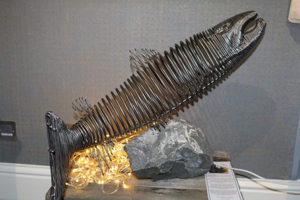 Sam The Salmon - Aegir Maciver